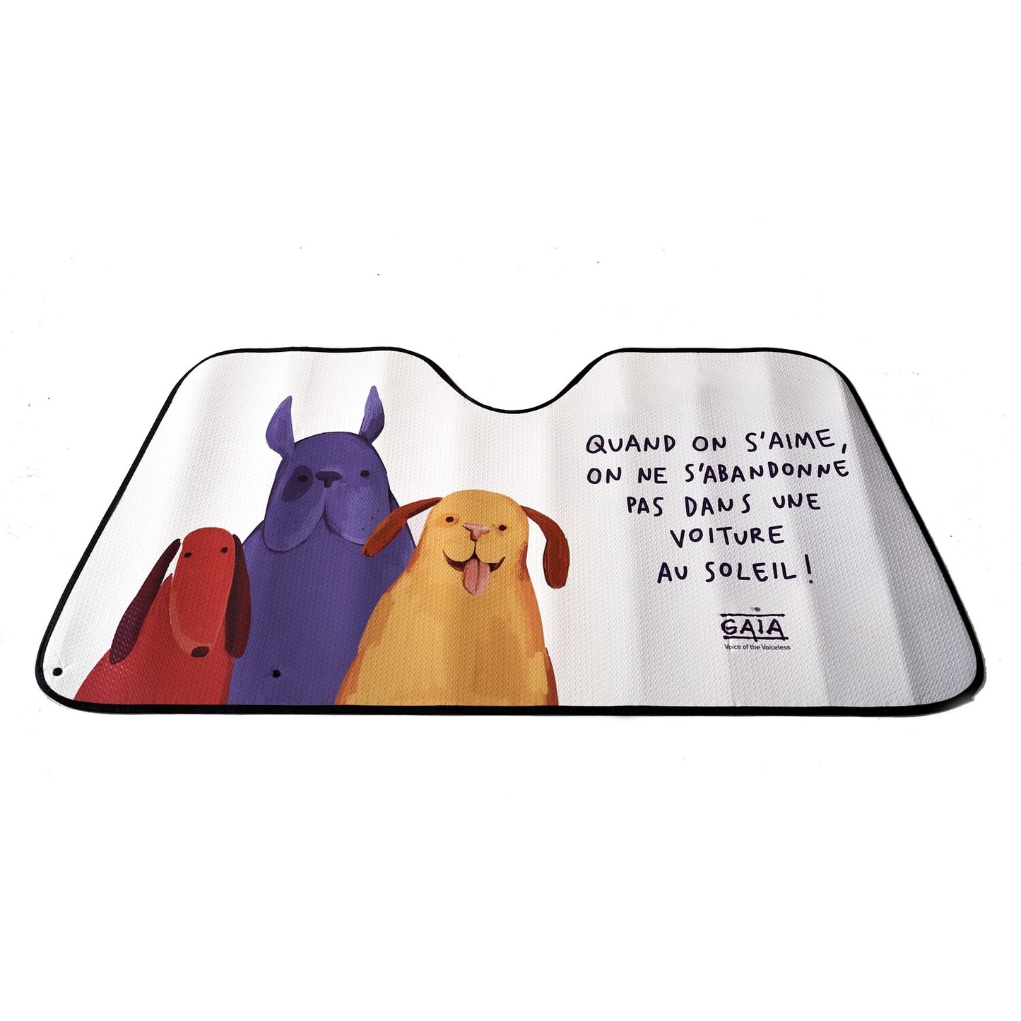 Car sun visor (FR)