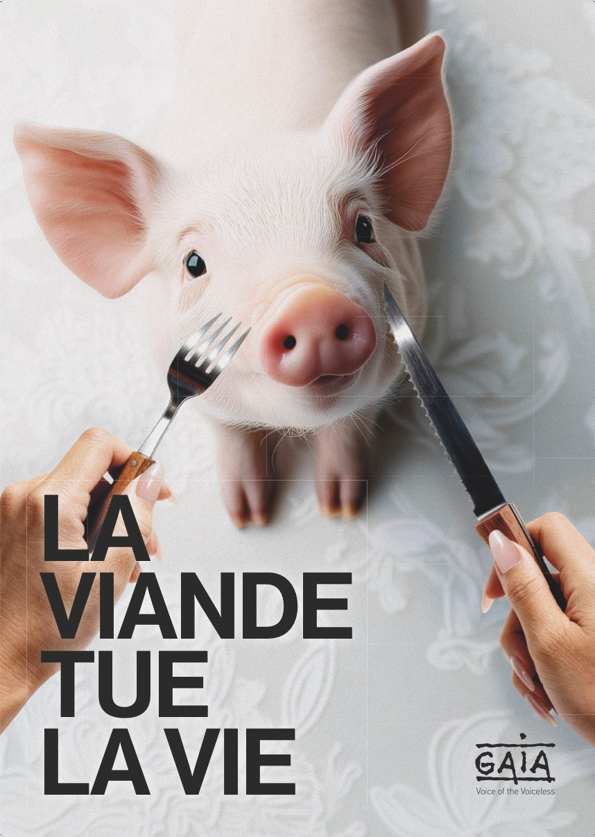 Pack 4 posters "La viande tue la vie" (FR)