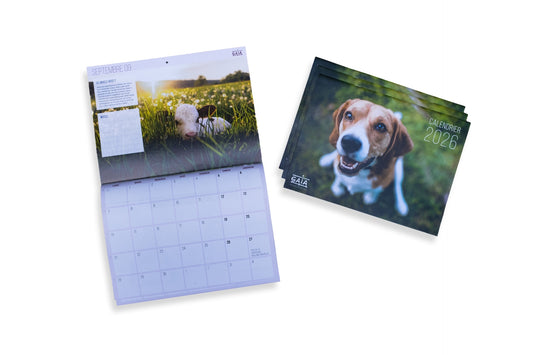 Calendrier annuel 2026