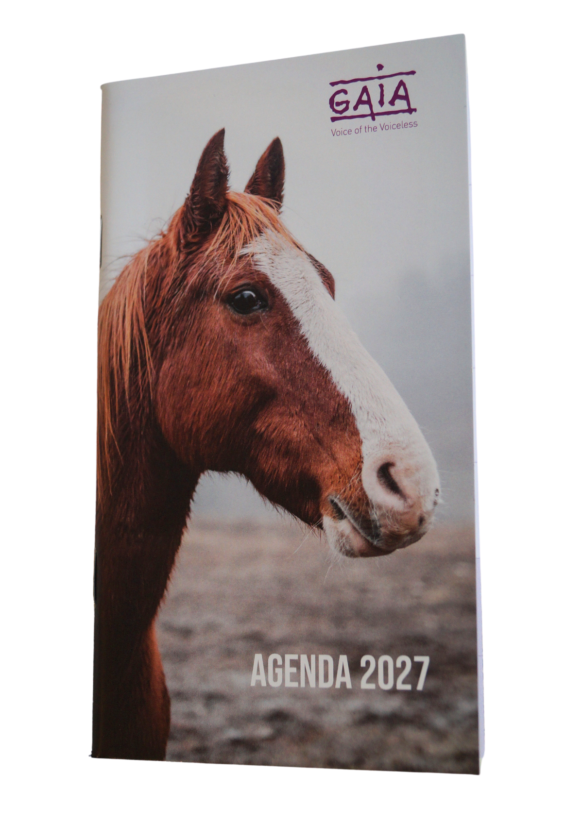 Agenda 2027