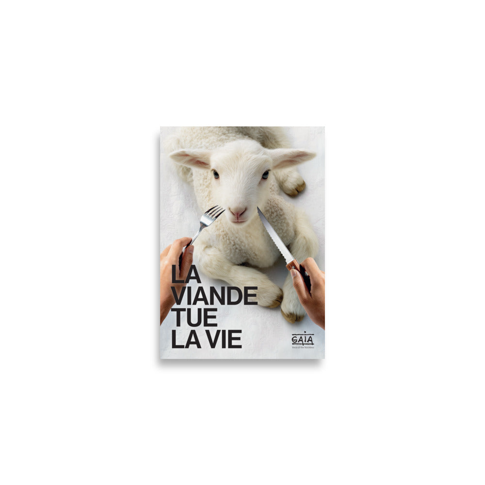 Pack 4 posters "La viande tue la vie" (FR)