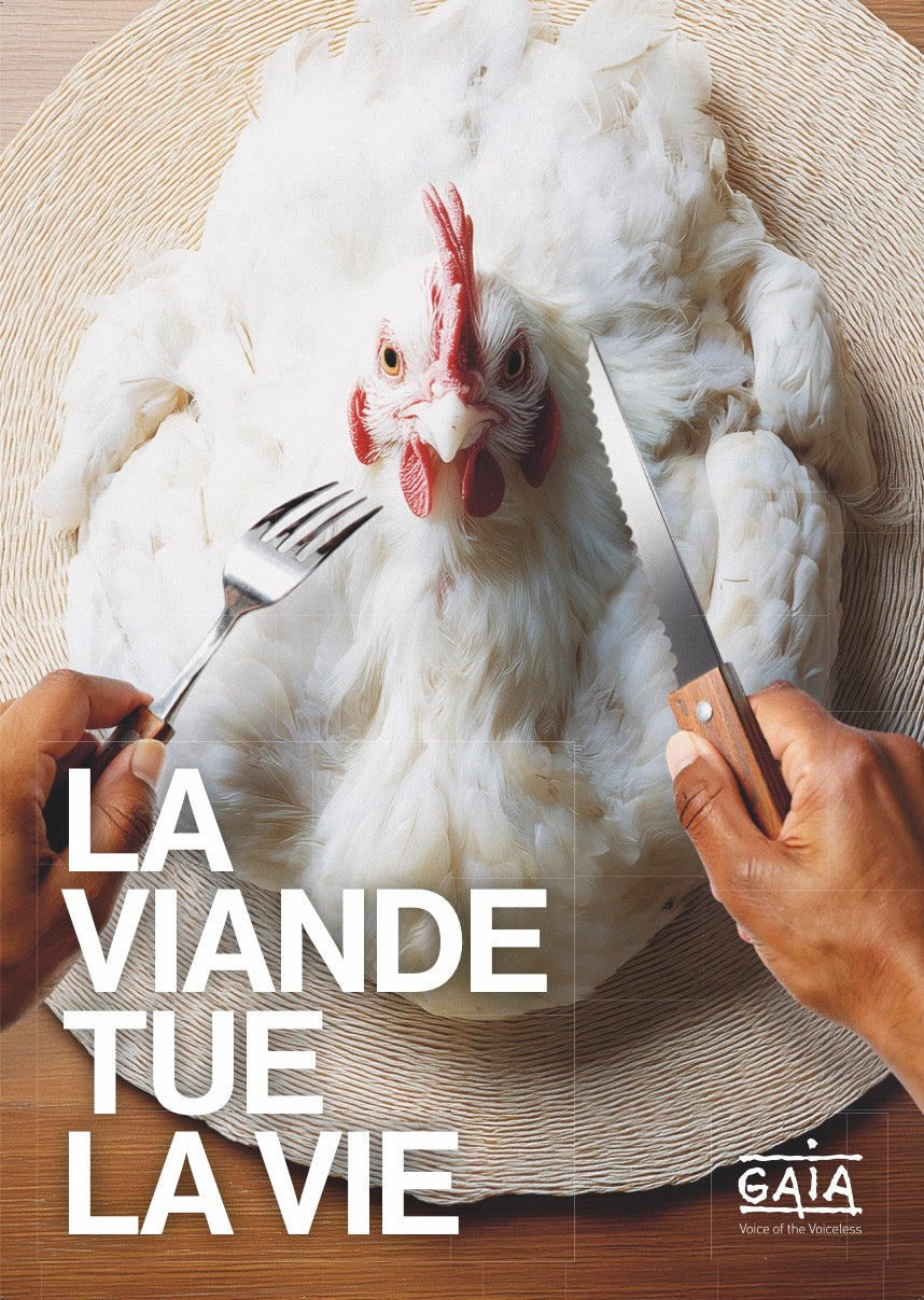 Pack 4 posters "La viande tue la vie" (FR)