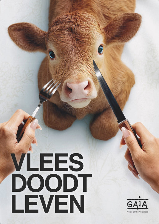 Pack 4 posters "Vlees doodt leven" (NL)