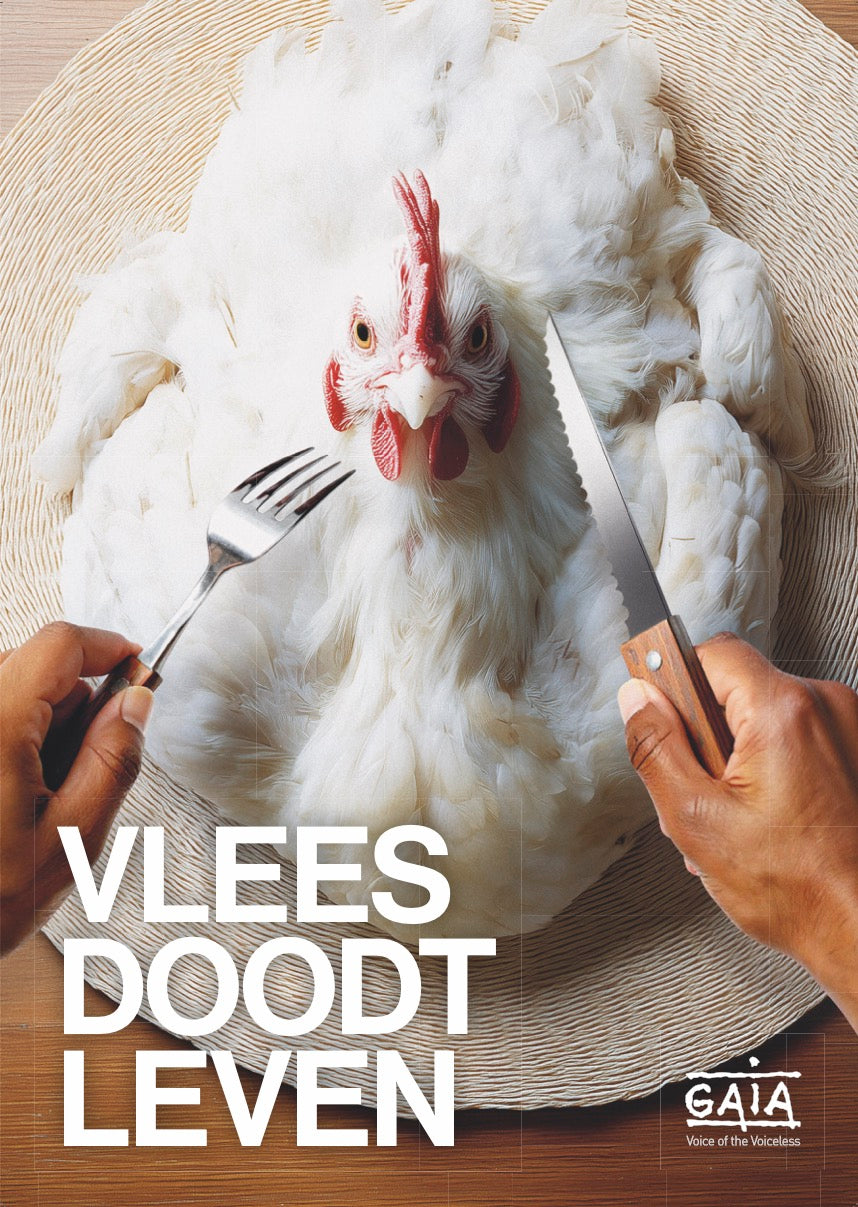 Pack 4 posters "Vlees doodt leven" (NL)